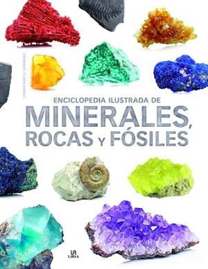 ENCICLOPEDIA ILUSTRADA DE MINERALES, ROCAS Y FÓSILES | 9788466238991 | MARTUL HERNÁNDEZ, CARMEN | Llibres Parcir | Librería Parcir | Librería online de Manresa | Comprar libros en catalán y castellano online