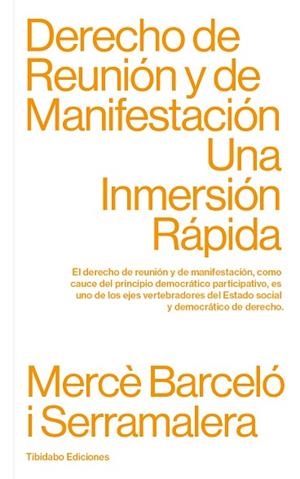 DERECHO DE REUNIÓN Y DE MANIFESTACIÓN | 9788413475806 | BARCELÓ I SERRAMALERA, MERCÈ | Llibres Parcir | Llibreria Parcir | Llibreria online de Manresa | Comprar llibres en català i castellà online