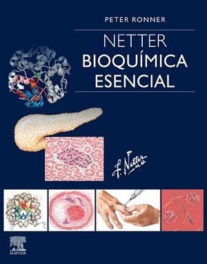 NETTER. BIOQUÍMICA ESENCIAL | 9788491135159 | RONNER, PETER | Llibres Parcir | Llibreria Parcir | Llibreria online de Manresa | Comprar llibres en català i castellà online