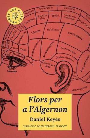 FLORS PER A L'ALGERNON | 9788412209778 | KEYES, DANIEL | Llibres Parcir | Llibreria Parcir | Llibreria online de Manresa | Comprar llibres en català i castellà online