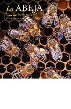 ABEJA, LA. UNA HISTORIA NATURAL | 9788417452575 | VV.AA. | Llibres Parcir | Llibreria Parcir | Llibreria online de Manresa | Comprar llibres en català i castellà online