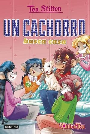 UN CACHORRO BUSCA CASA | 9788408231226 | STILTON, TEA | Llibres Parcir | Llibreria Parcir | Llibreria online de Manresa | Comprar llibres en català i castellà online