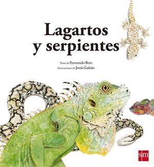 LAGARTOS Y SERPIENTES | 9788467573947 | BORT MISOL, FERNANDO | Llibres Parcir | Librería Parcir | Librería online de Manresa | Comprar libros en catalán y castellano online