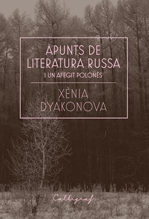 APUNTS DE LITERATURA RUSSA I UN AFEGIT POLONÈS | 9788412212358 | DYAKONOVA, XÈNIA | Llibres Parcir | Llibreria Parcir | Llibreria online de Manresa | Comprar llibres en català i castellà online
