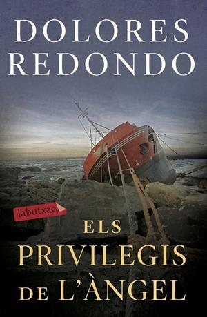 ELS PRIVILEGIS DE L'ÀNGEL | 9788417423971 | REDONDO, DOLORES | Llibres Parcir | Llibreria Parcir | Llibreria online de Manresa | Comprar llibres en català i castellà online