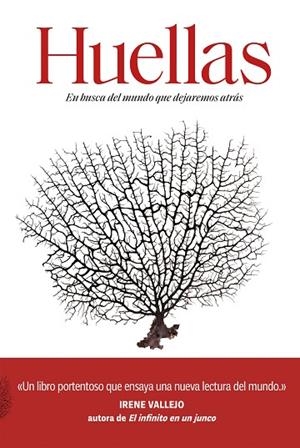 HUELLAS | 9788491992660 | FARRIER, DAVID | Llibres Parcir | Llibreria Parcir | Llibreria online de Manresa | Comprar llibres en català i castellà online