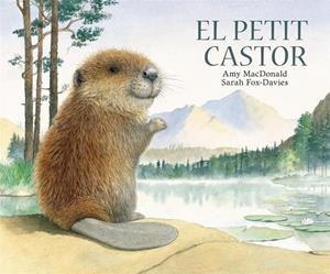 EL PETIT CASTOR | 9788493817596 | MC DONALD, AMI/FOX DAVIES, SARAH | Llibres Parcir | Llibreria Parcir | Llibreria online de Manresa | Comprar llibres en català i castellà online