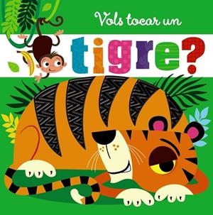 VOLS TOCAR UN TIGRE? | 9788499062624 | VARIOS AUTORES | Llibres Parcir | Llibreria Parcir | Llibreria online de Manresa | Comprar llibres en català i castellà online