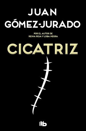 CICATRIZ | 9788413142449 | GÓMEZ-JURADO, JUAN | Llibres Parcir | Llibreria Parcir | Llibreria online de Manresa | Comprar llibres en català i castellà online