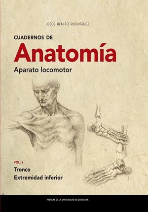 CUADERNOS DE ANATOMÍA. APARATO LOCOMOTOR | 9788413401850 | BENITO RODRÍGUEZ, JESÚS | Llibres Parcir | Llibreria Parcir | Llibreria online de Manresa | Comprar llibres en català i castellà online