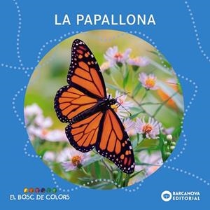 LA PAPALLONA | 9788448952846 | BALDÓ, ESTEL/GIL, ROSA/SOLIVA, MARIA | Llibres Parcir | Llibreria Parcir | Llibreria online de Manresa | Comprar llibres en català i castellà online