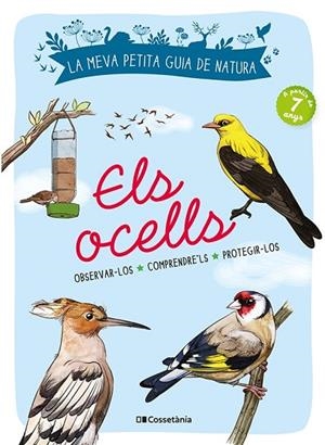 ELS OCELLS | 9788413560359 | LUCHESI, MICHEL | Llibres Parcir | Llibreria Parcir | Llibreria online de Manresa | Comprar llibres en català i castellà online