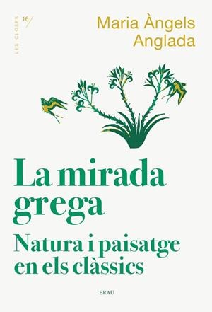 LA MIRADA GREGA | 9788418096167 | ANGLADA I D'ABADAL, MARIA ÀNGELS | Llibres Parcir | Llibreria Parcir | Llibreria online de Manresa | Comprar llibres en català i castellà online