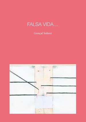 FALSA VIDA | 9788418022890 | SOBRER BAREA, GONÇAL | Llibres Parcir | Librería Parcir | Librería online de Manresa | Comprar libros en catalán y castellano online