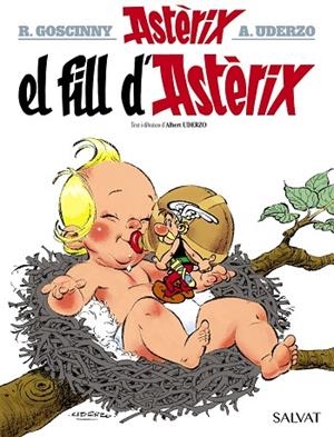 EL FILL D'ASTÈRIX | 9788469603079 | UDERZO, ALBERT | Llibres Parcir | Llibreria Parcir | Llibreria online de Manresa | Comprar llibres en català i castellà online