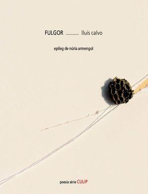 FULGOR | 9788481289862 | CALVO, LLUÍS | Llibres Parcir | Llibreria Parcir | Llibreria online de Manresa | Comprar llibres en català i castellà online
