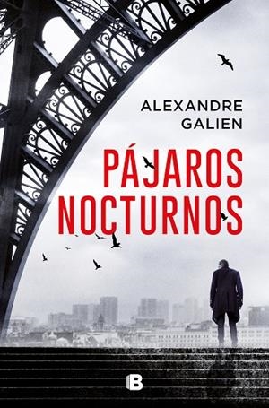 PÁJAROS NOCTURNOS | 9788466669443 | GALIEN, ALEXANDRE | Llibres Parcir | Librería Parcir | Librería online de Manresa | Comprar libros en catalán y castellano online