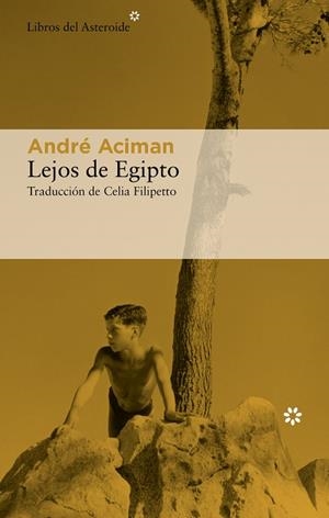 LEJOS DE EGIPTO | 9788417977757 | ACIMAN, ANDRÉ | Llibres Parcir | Librería Parcir | Librería online de Manresa | Comprar libros en catalán y castellano online