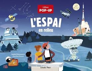 L'ESPAI EN RELLEU | 9788418444074 | DUSSAUSSOIS, SOPHIE/PICARD, CHARLINE | Llibres Parcir | Llibreria Parcir | Llibreria online de Manresa | Comprar llibres en català i castellà online