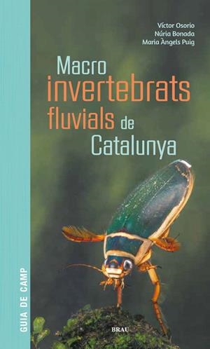 MACROINVERTEBRATS FLUVIALS DE CATALUNYA | 9788418096204 | OSORIO ÁLVAREZ, VÍCTOR/PUIG GARCÍA, M. ÁNGELES/BONADA CAPARRÓS, NÚRIA | Llibres Parcir | Llibreria Parcir | Llibreria online de Manresa | Comprar llibres en català i castellà online