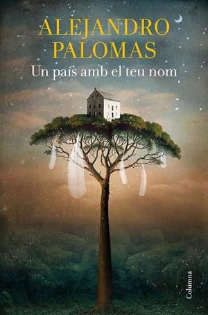 UN PAÍS AMB EL TEU NOM | 9788466428156 | PALOMAS, ALEJANDRO | Llibres Parcir | Llibreria Parcir | Llibreria online de Manresa | Comprar llibres en català i castellà online