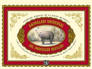 ANIMALARI UNIVERSAL DEL PROFESOR REVILLOD / ALMANAC IL.LUSTRAT DE LA FAUNA MUNDI | 9788437506982 | MURUGARREN, MIGUEL | Llibres Parcir | Librería Parcir | Librería online de Manresa | Comprar libros en catalán y castellano online