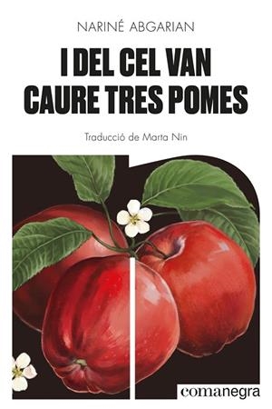 I DEL CEL VAN CAURE TRES POMES | 9788418857041 | ABGARIAN, NARINÉ | Llibres Parcir | Llibreria Parcir | Llibreria online de Manresa | Comprar llibres en català i castellà online