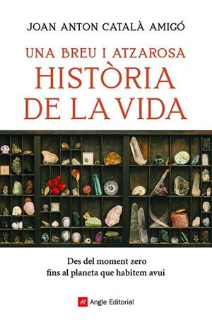 UNA BREU I ATZAROSA HISTÒRIA DE LA VIDA | 9788418197956 | CATALÀ AMIGÓ, JOAN ANTON | Llibres Parcir | Llibreria Parcir | Llibreria online de Manresa | Comprar llibres en català i castellà online