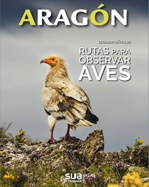 RUTAS PARA OBSERVAR AVES | 9788482167206 | VIÑUALES COBOS, EDUARDO | Llibres Parcir | Librería Parcir | Librería online de Manresa | Comprar libros en catalán y castellano online