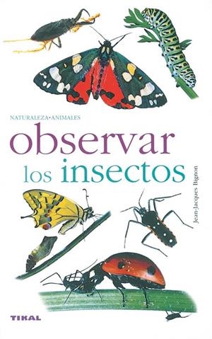OBSERVAR LOS INSECTOS | 9788430553334 | BIGNON, JEAN-JACQUES | Llibres Parcir | Librería Parcir | Librería online de Manresa | Comprar libros en catalán y castellano online