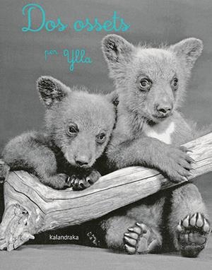DOS OSSETS | 9788418558283 | KOFFLER, CAMILLA | Llibres Parcir | Llibreria Parcir | Llibreria online de Manresa | Comprar llibres en català i castellà online