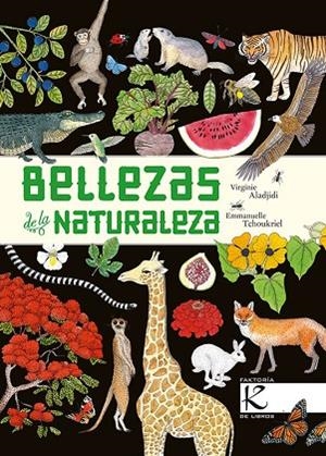 BELLEZAS DE LA NATURALEZA | 9788416721474 | ALADJIDI, VIRGINIE | Llibres Parcir | Llibreria Parcir | Llibreria online de Manresa | Comprar llibres en català i castellà online