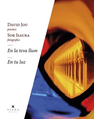 EN LA TEVA LLUM - EN TU LUZ | 9788418908262 | JOU MIRABENT, DAVID | Llibres Parcir | Librería Parcir | Librería online de Manresa | Comprar libros en catalán y castellano online