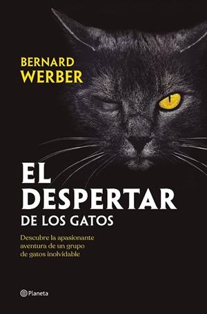 EL DESPERTAR DE LOS GATOS | 9788408251835 | WERBER, BERNARD | Llibres Parcir | Llibreria Parcir | Llibreria online de Manresa | Comprar llibres en català i castellà online