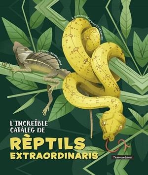 L'INCREÏBLE CATÀLEG DE RÈPTILS EXTRAORDINARIS | 9788418520341 | BANFI, CRISTINA | Llibres Parcir | Librería Parcir | Librería online de Manresa | Comprar libros en catalán y castellano online