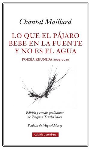 LO QUE EL PÁJARO BEBE EN LA FUENTE Y NO ES EL AGUA | 9788418807633 | MAILLARD, CHANTAL | Llibres Parcir | Librería Parcir | Librería online de Manresa | Comprar libros en catalán y castellano online