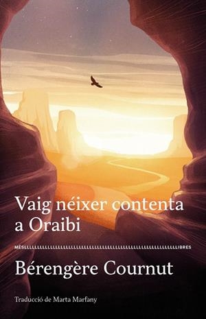 VAIG NÉIXER CONTENTA A ORAIBI | 9788417353377 | COURNUT, BÉRENGÈRE | Llibres Parcir | Llibreria Parcir | Llibreria online de Manresa | Comprar llibres en català i castellà online