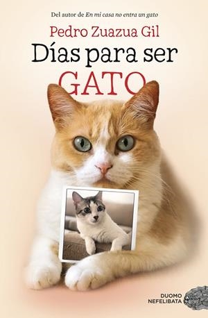DÍAS PARA SER GATO | 9788417128524 | ZUAZUA GIL, PEDRO | Llibres Parcir | Llibreria Parcir | Llibreria online de Manresa | Comprar llibres en català i castellà online