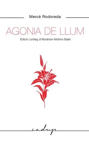 AGONIA DE LLUM | 9788412455748 | RODOREDA GURGUI, MERCÈ | Llibres Parcir | Llibreria Parcir | Llibreria online de Manresa | Comprar llibres en català i castellà online