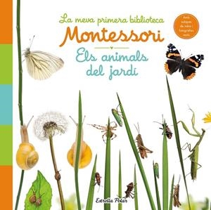 ELS ANIMALS DEL JARDÍ. LA MEVA PRIMERA BIBLIOTECA MONTESSORI | 9788413890142 | AA. VV. | Llibres Parcir | Llibreria Parcir | Llibreria online de Manresa | Comprar llibres en català i castellà online