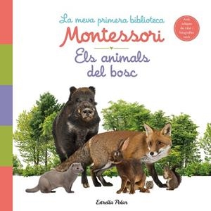 ELS ANIMALS DEL BOSC. LA MEVA PRIMERA BIBLIOTECA MONTESSORI | 9788413890159 | AA. VV. | Llibres Parcir | Llibreria Parcir | Llibreria online de Manresa | Comprar llibres en català i castellà online