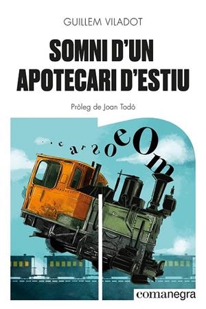 SOMNI D'UN APOTECARI D'ESTIU | 9788418857645 | VILADOT, GUILLEM | Llibres Parcir | Llibreria Parcir | Llibreria online de Manresa | Comprar llibres en català i castellà online