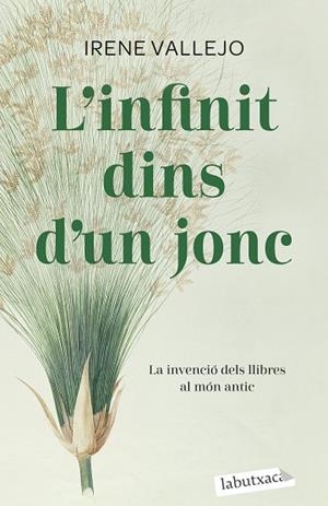 L'INFINIT DINS D'UN JONC | 9788419107121 | VALLEJO, IRENE | Llibres Parcir | Llibreria Parcir | Llibreria online de Manresa | Comprar llibres en català i castellà online