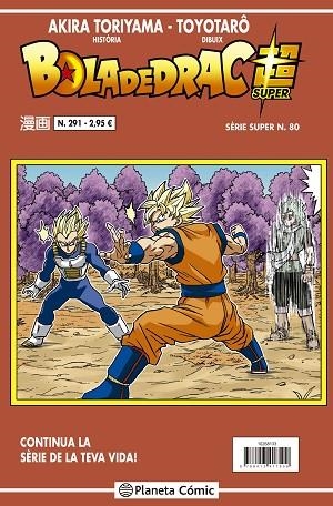 BOLA DE DRAC SÈRIE VERMELLA Nº 291 | 9788491746270 | TORIYAMA, AKIRA | Llibres Parcir | Llibreria Parcir | Llibreria online de Manresa | Comprar llibres en català i castellà online