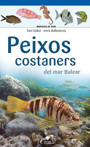 PEIXOS COSTANERS DEL MAR BALEAR | 9788490349403 | BALLESTEROS SAGARRA, ENRIC / LLOBET FRANÇOIS, TONI | Llibres Parcir | Llibreria Parcir | Llibreria online de Manresa | Comprar llibres en català i castellà online