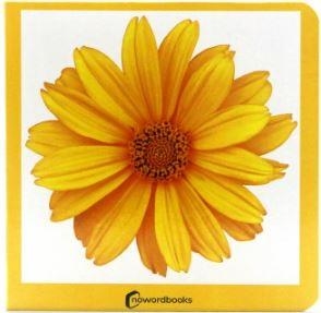 AMARILLO | 9788412534429 | AA.VV. | Llibres Parcir | Llibreria Parcir | Llibreria online de Manresa | Comprar llibres en català i castellà online