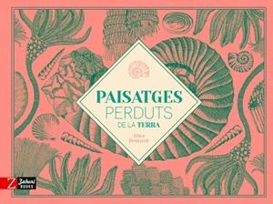 PAISSATGES PERDUTS DE LA TERRA | 9788417374686 | BESTARD, AINA | Llibres Parcir | Llibreria Parcir | Llibreria online de Manresa | Comprar llibres en català i castellà online