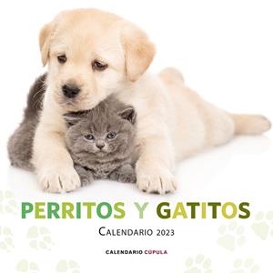 CALENDARIO PERRITOS Y GATITOS 2023 | 9788448029807 | AA. VV. | Llibres Parcir | Llibreria Parcir | Llibreria online de Manresa | Comprar llibres en català i castellà online