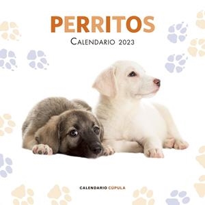 CALENDARIO PERRITOS 2023 | 9788448029814 | AA. VV. | Llibres Parcir | Llibreria Parcir | Llibreria online de Manresa | Comprar llibres en català i castellà online