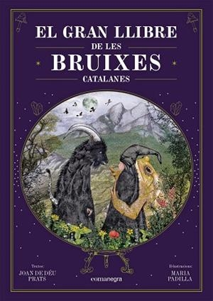 EL GRAN LLIBRE DE LES BRUIXES CATALANES | 9788418857751 | PRATS, JOAN DE DÉU/PADILLA CLIMENT, MARIA | Llibres Parcir | Llibreria Parcir | Llibreria online de Manresa | Comprar llibres en català i castellà online